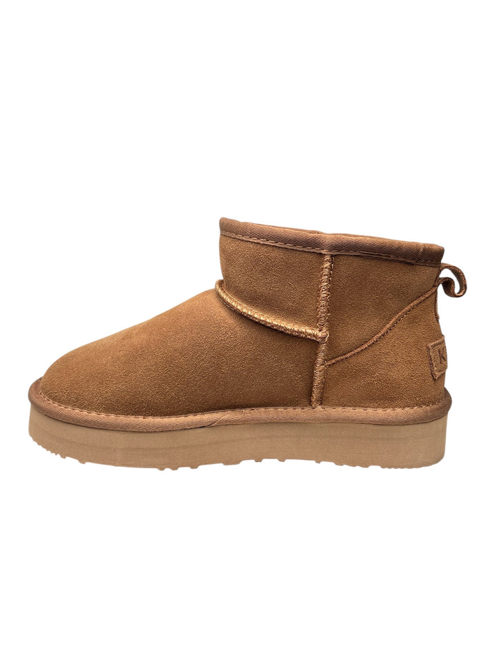 polacco donna camel