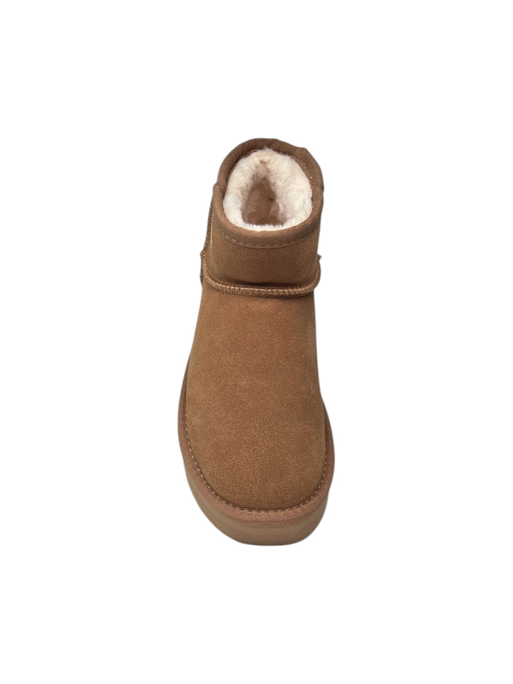 polacco donna camel