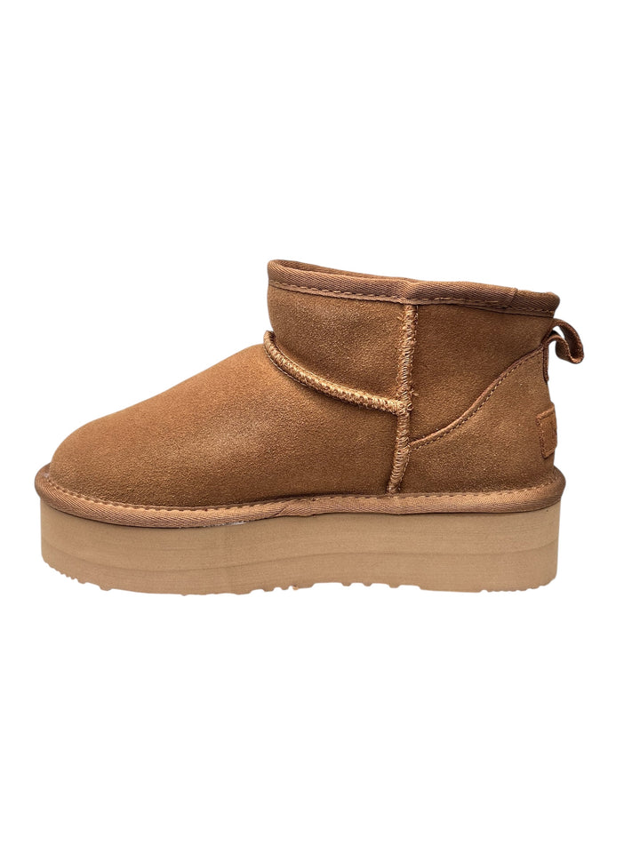 polacco donna camel