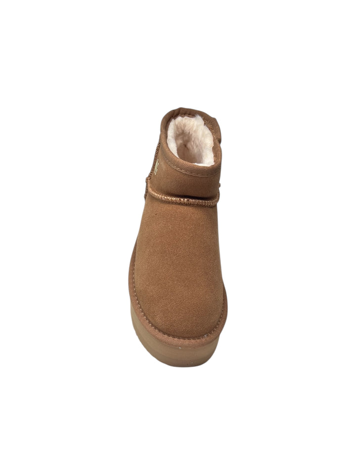 polacco donna camel