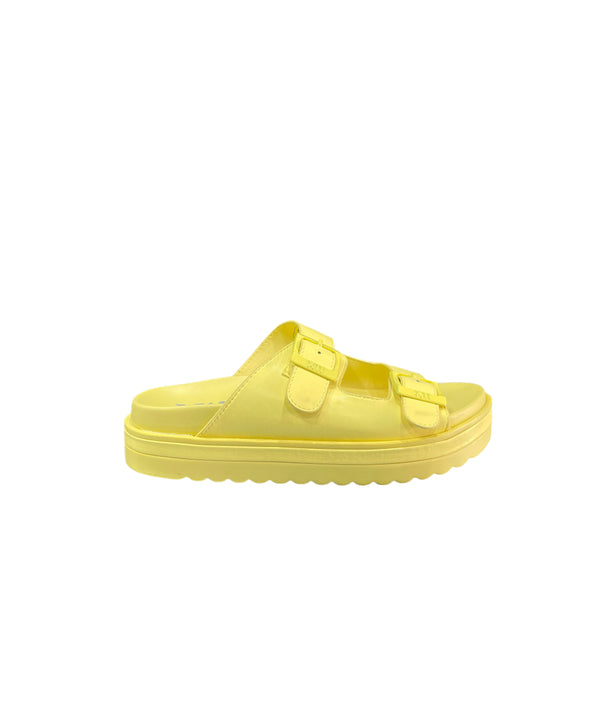 141109YELLOW