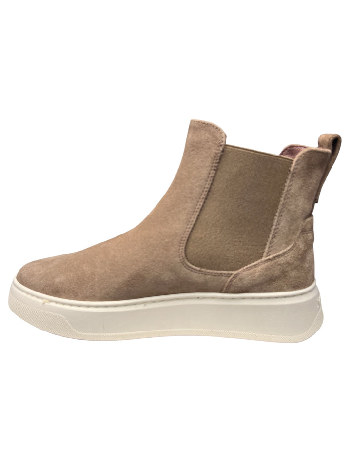 beatles donna pelle argilla