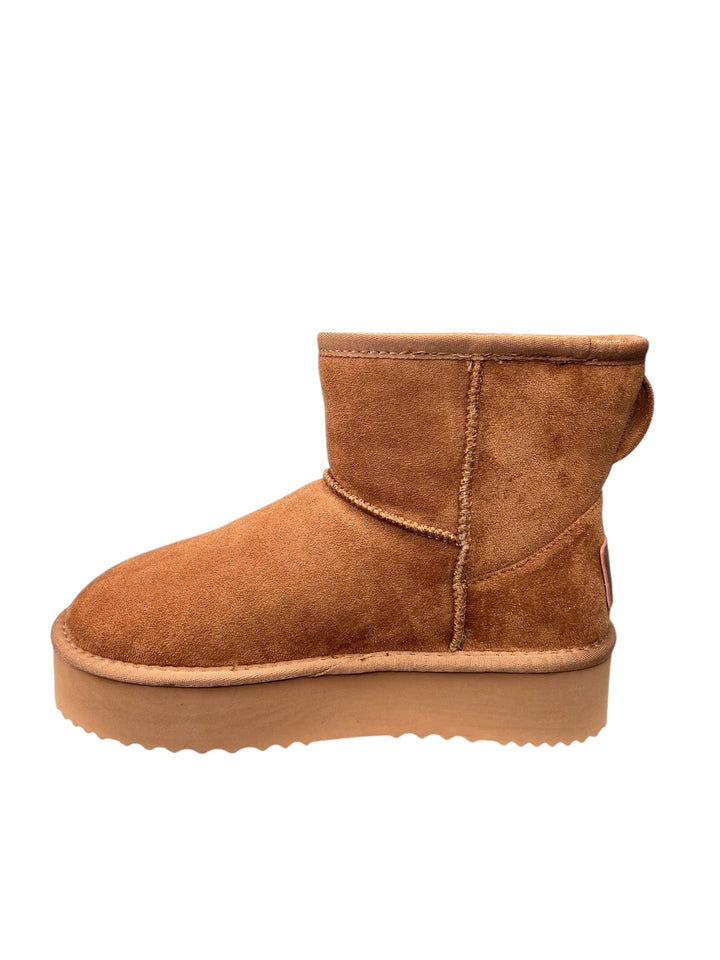 polacco donna camel