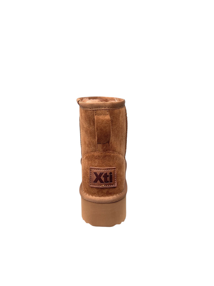 polacco donna camel