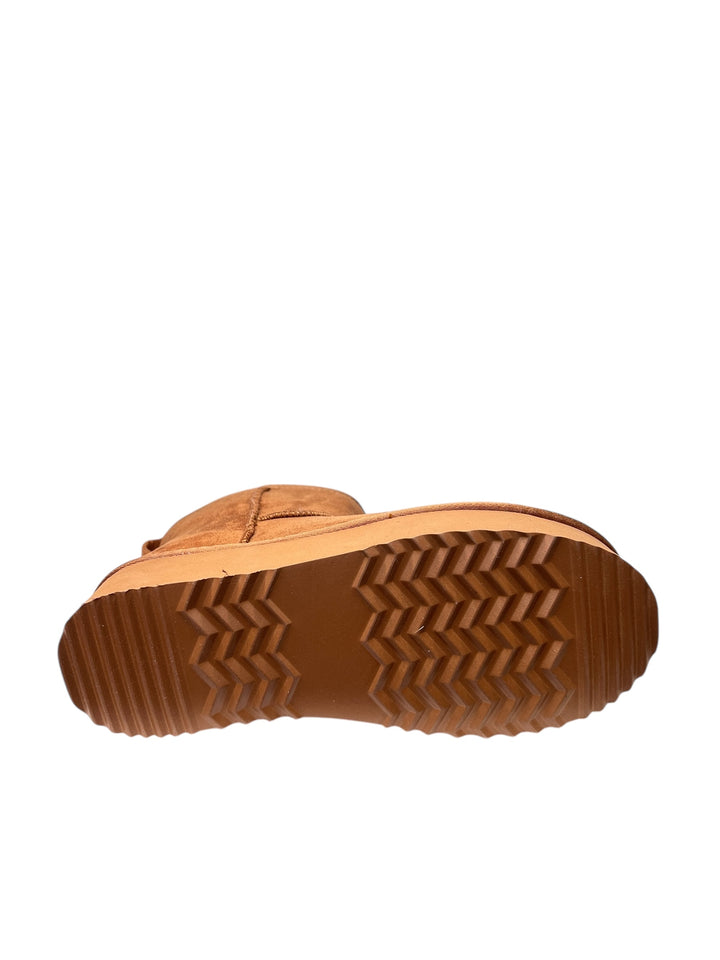 polacco donna camel