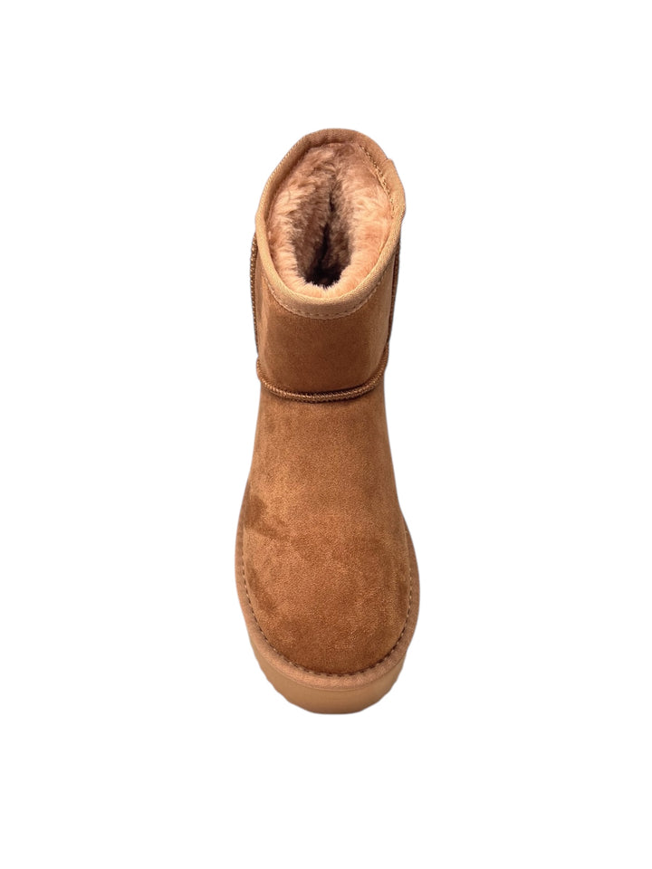 polacco donna camel