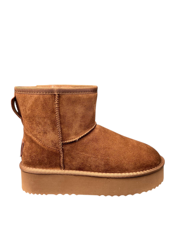 polacco donna camel