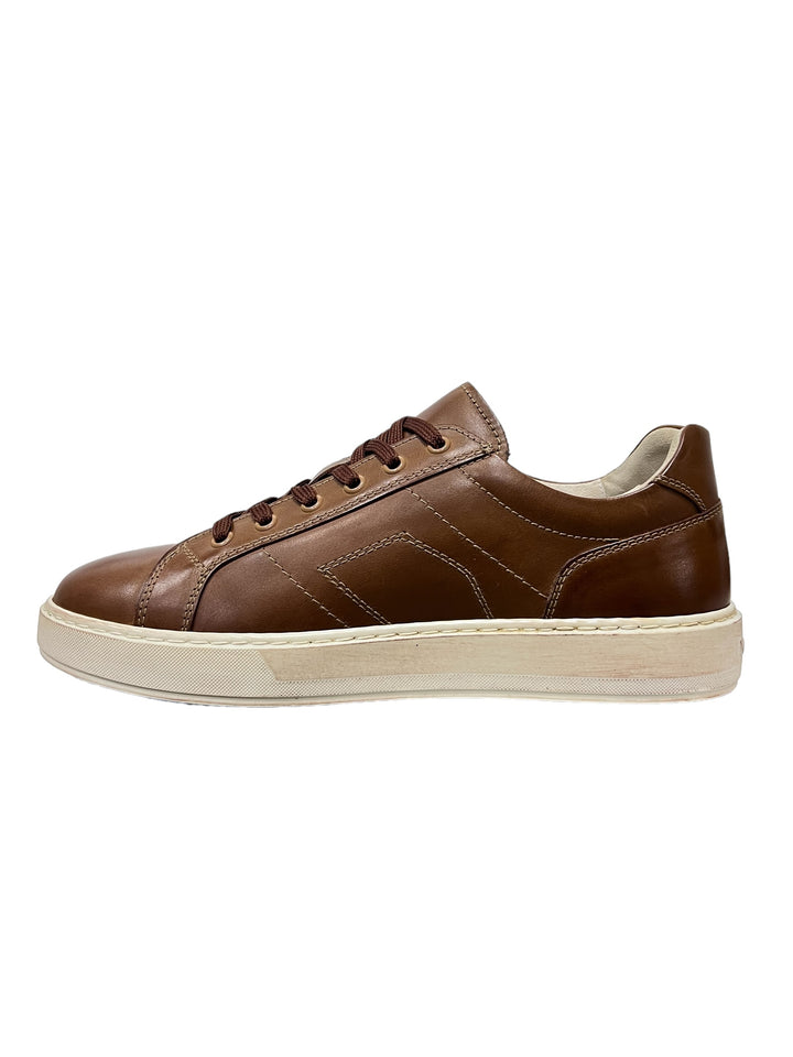 sneakers uomo pelle nero giardini art.e400222u329 cognac