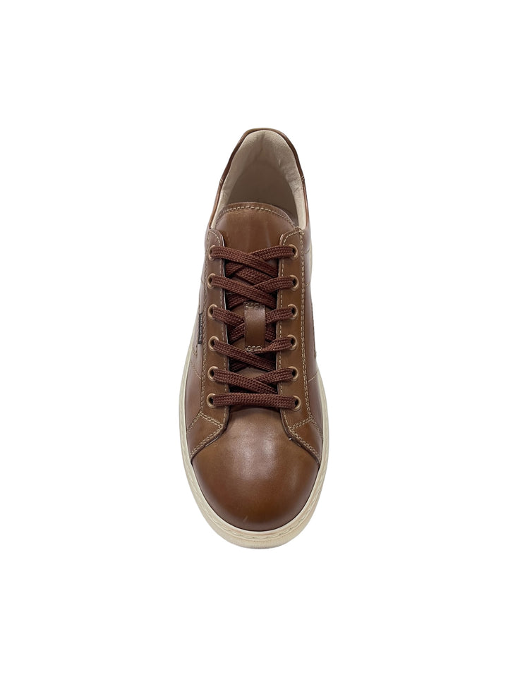 sneakers uomo pelle nero giardini art.e400222u329 cognac