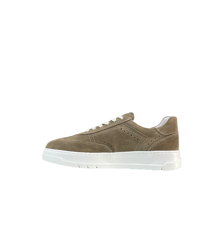 sneakers uomo camoscio nero giardini art.e202411u352 biscotto