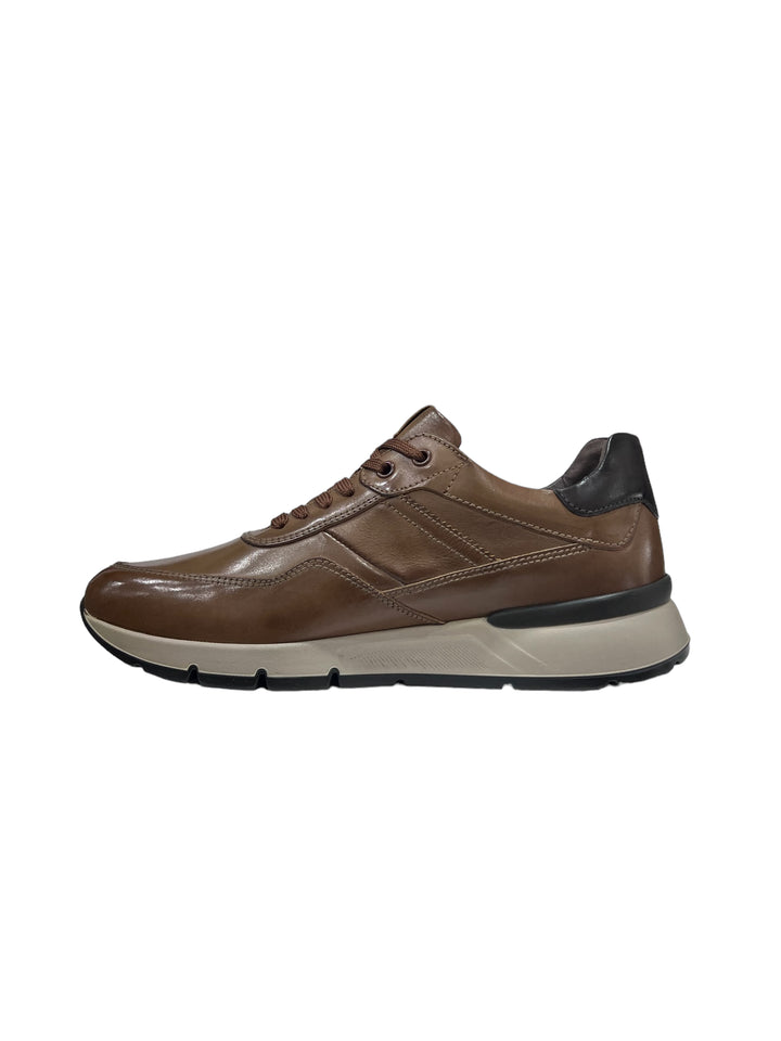 sneakers uomo pelle nero giardini art. i303010u400 cuoio