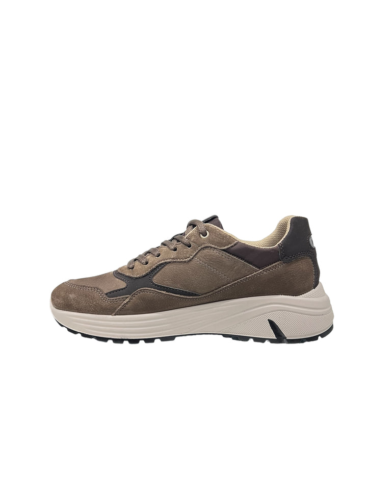 sneakers uomo pelle igi&co art.4642933  fango chiaro