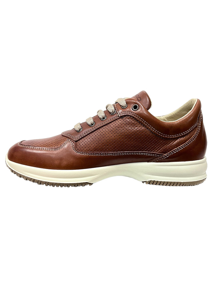 sneakers uomo pelle igi&co art. 5626711 cognac