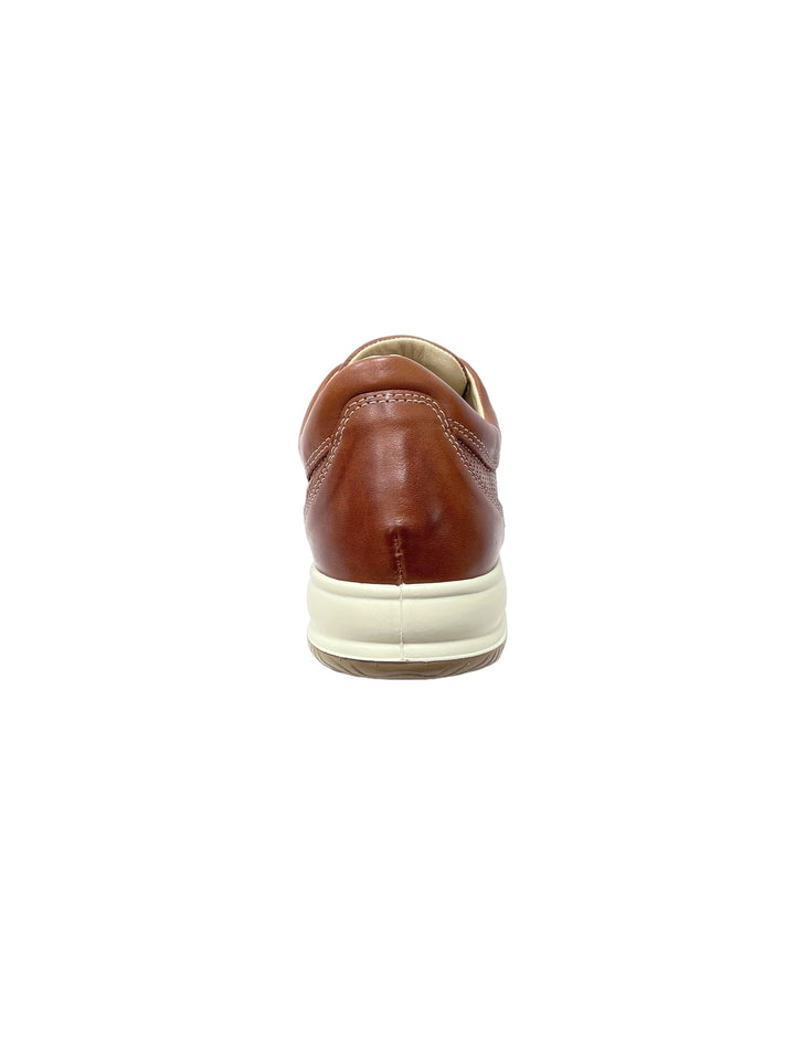 sneakers uomo pelle igi&co art. 5626711 cognac