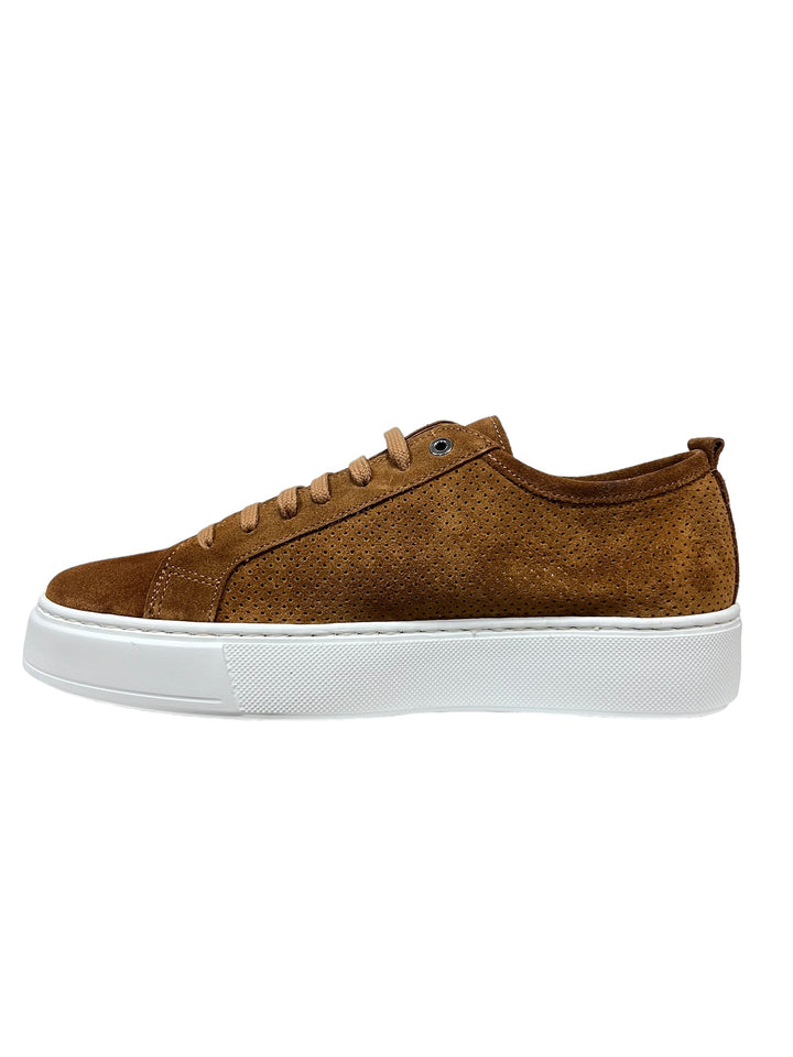 sneakers uomo pelle exton art. 565 cuoio