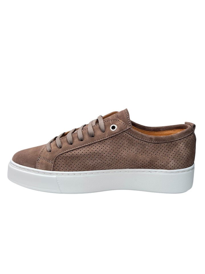 sneakers uomo pelle  exton art.565 taupe