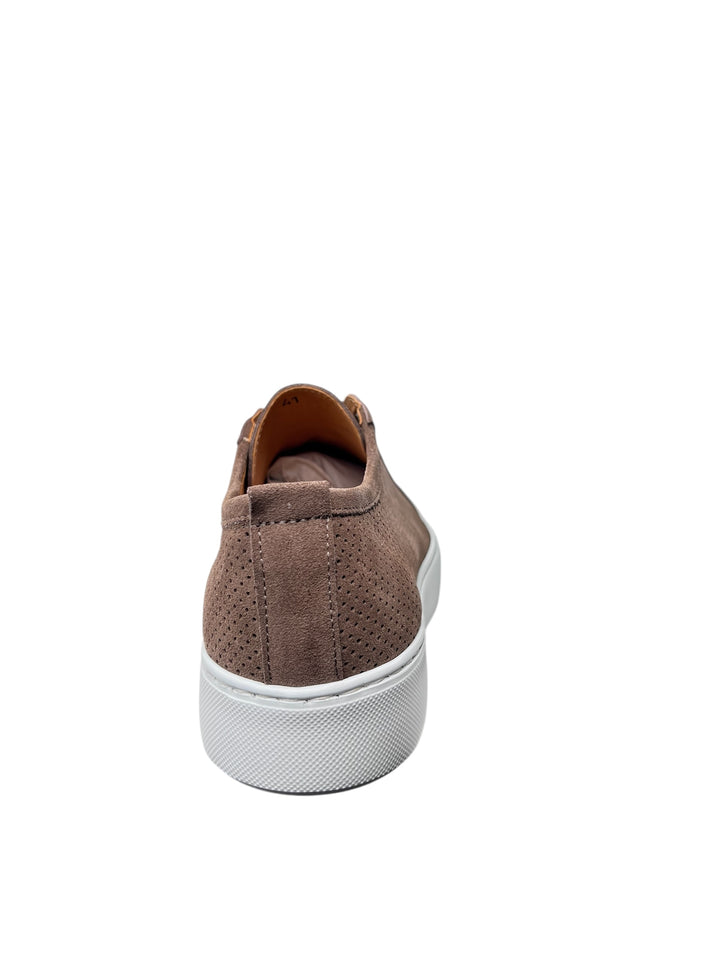 sneakers uomo pelle  exton art.565 taupe