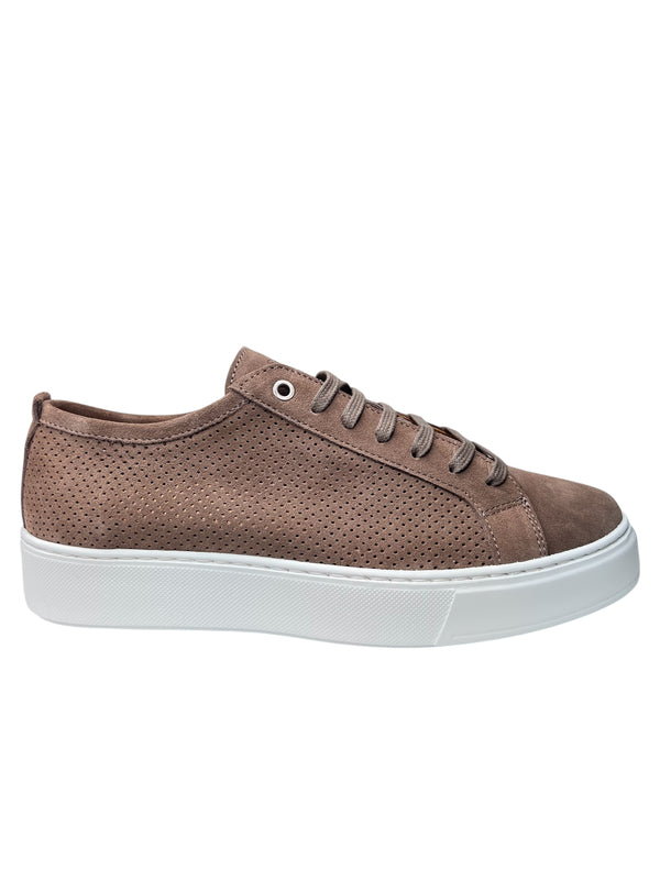 565TAUPE