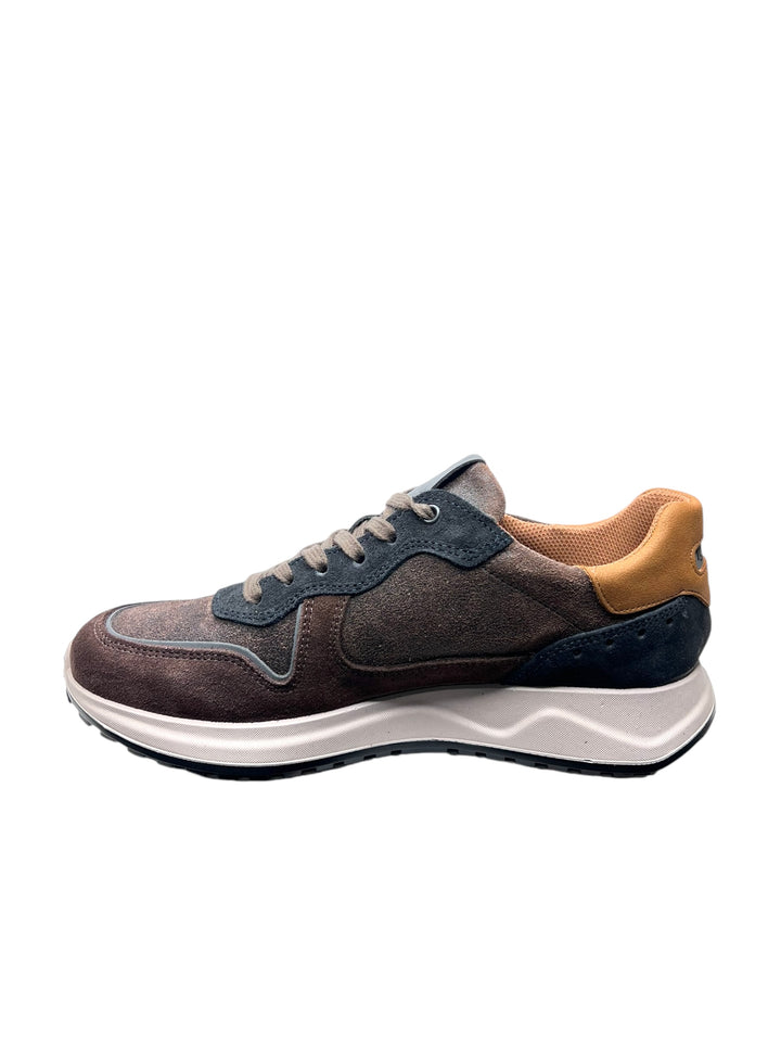 sneakers uomo pelle igi&co art.6638511 castagno-blu