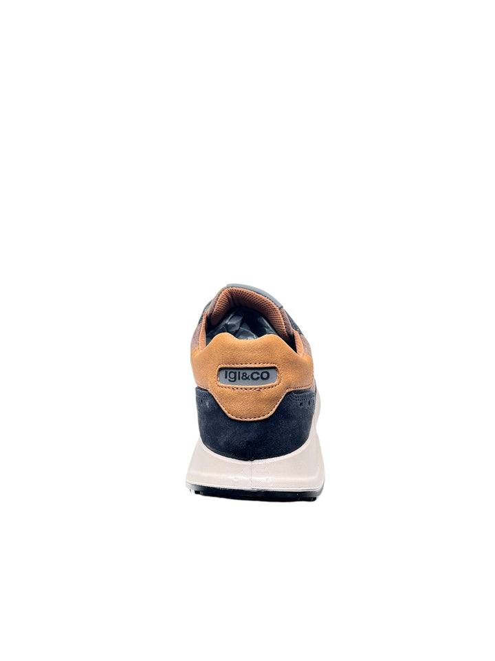 sneakers uomo pelle igi&co art.6638511 castagno-blu