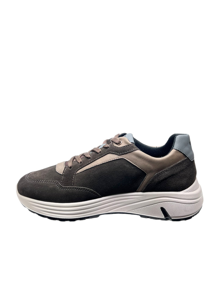 sneakers uomo pelle igi&co art.6639911 caffè-tortora