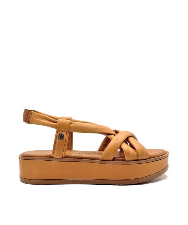 67837CAMEL