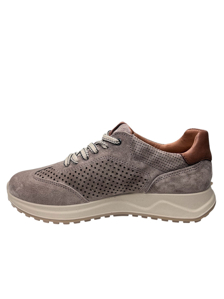 sneakers uomo pelle igi&co art.7634744 peltro