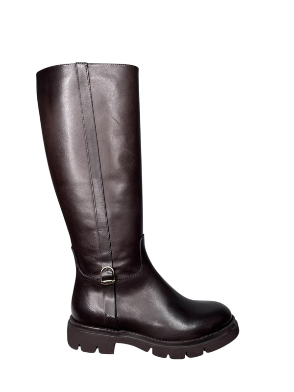 7694TESTA DI MORO_A25