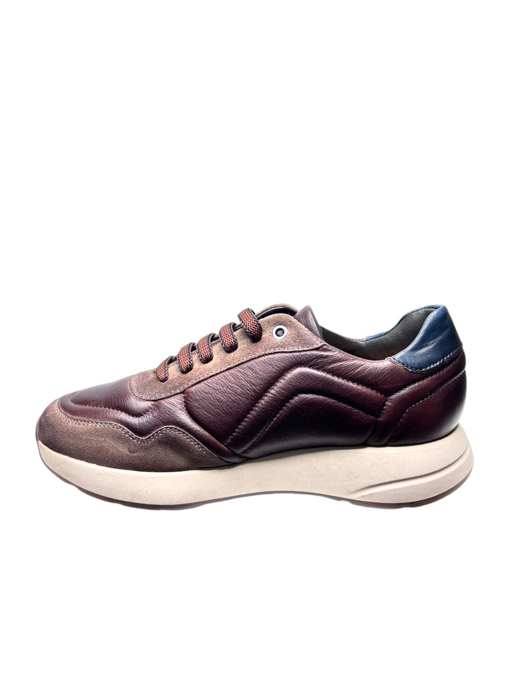 sneakers uomo pelle exton art.802 taupe