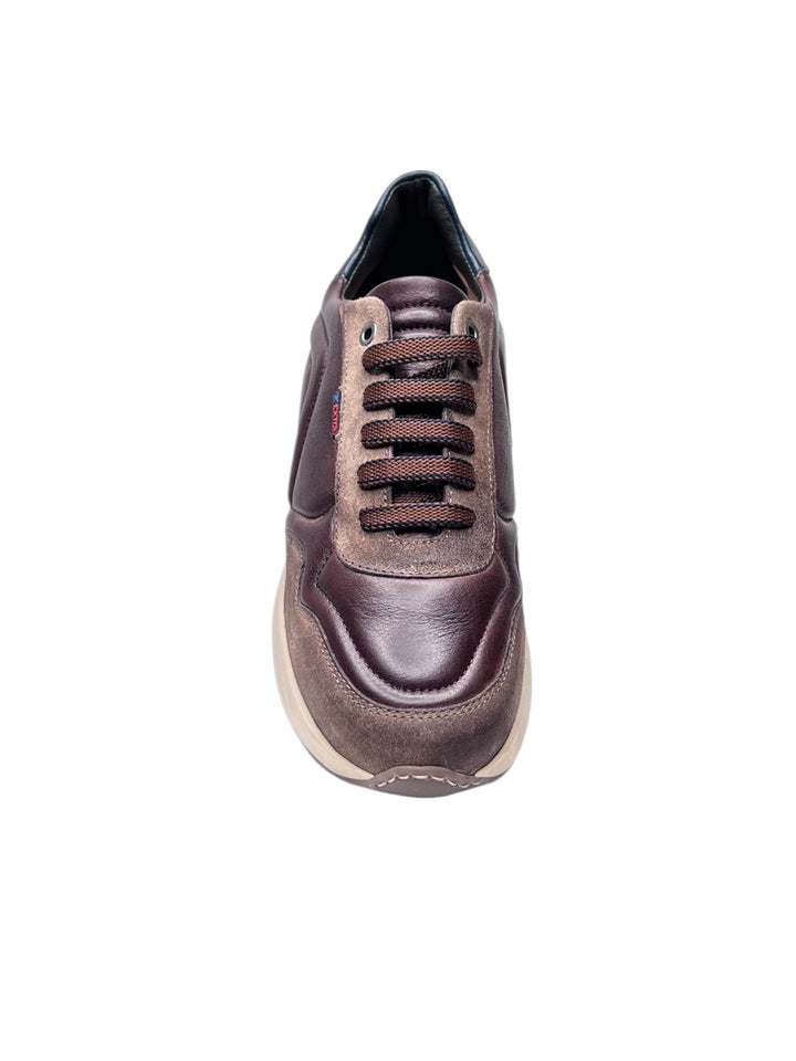 sneakers uomo pelle exton art.802 taupe