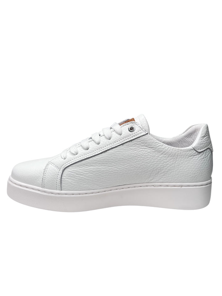 sneakers uomo pelle  exton art.830 bianco