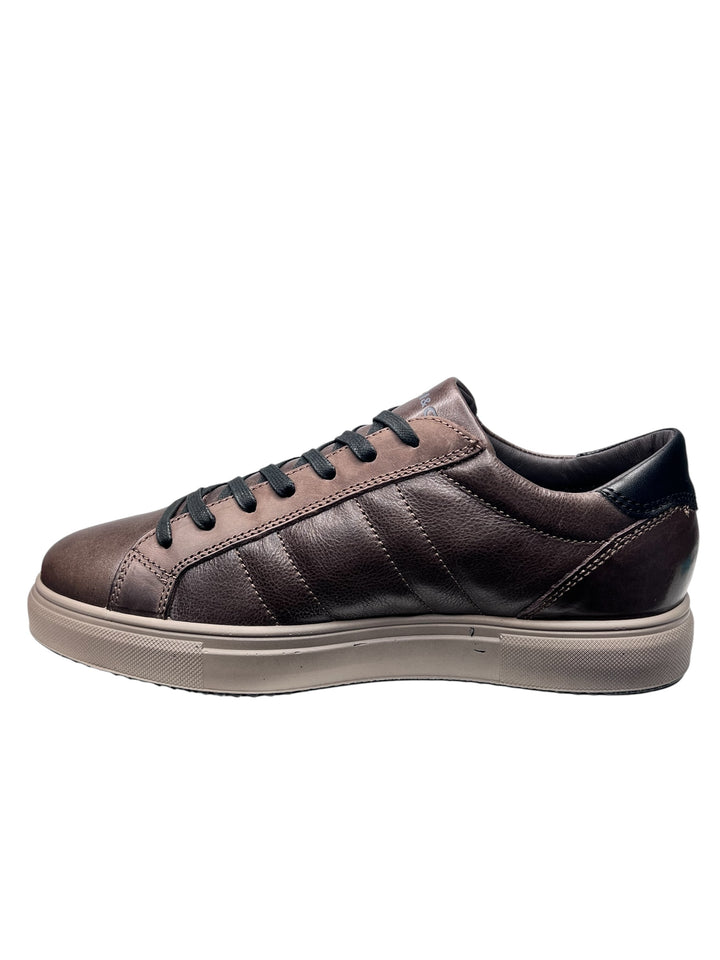 sneaker uomo pelle caffè