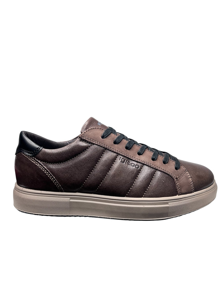 sneaker uomo pelle caffè