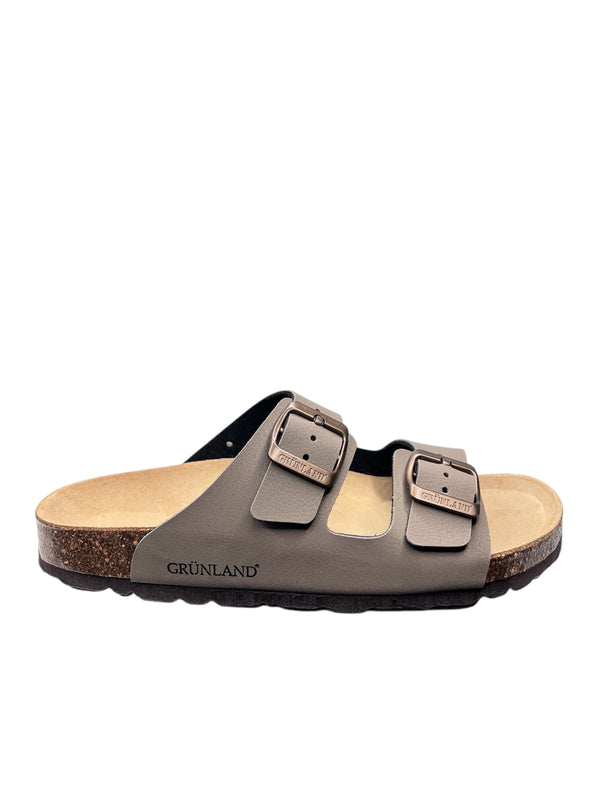 CB1557TORTORA