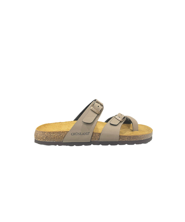 CB1561TORTORA_P23