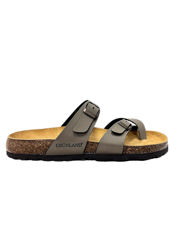 CB1561TORTORA