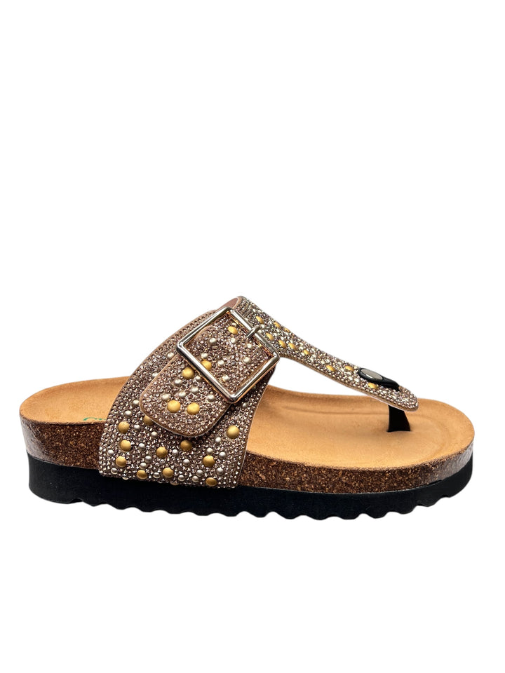 CC0066CIPRIA