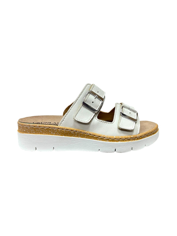 CE0241LATTE