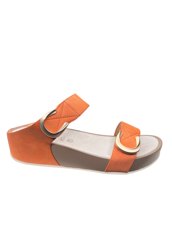 CI2577ARANCIO