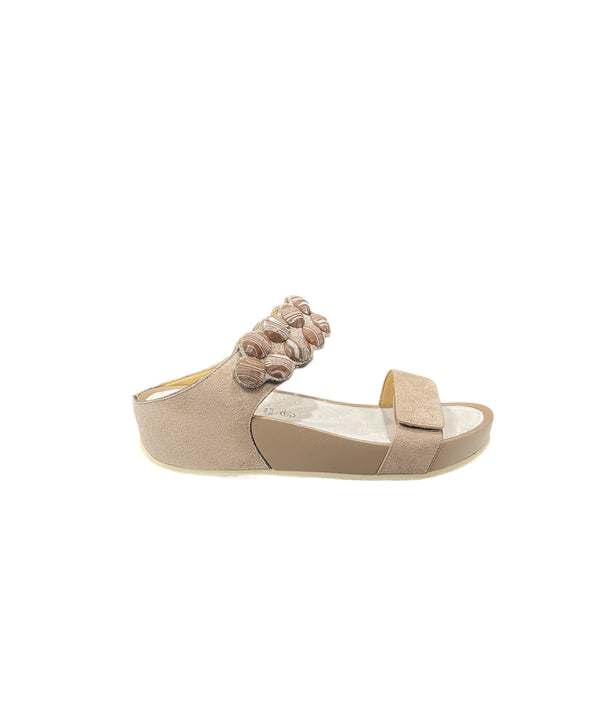 CI3161TAUPE