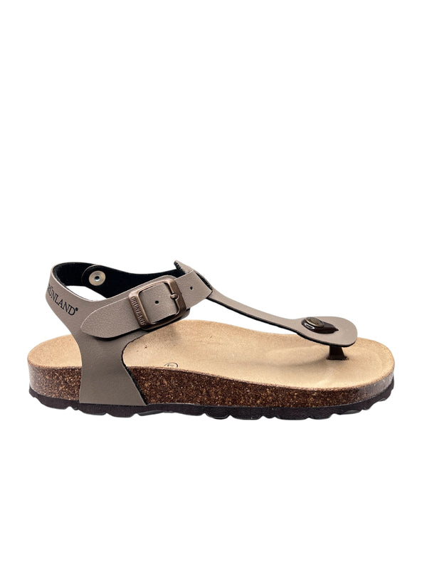 SB0215TORTORA