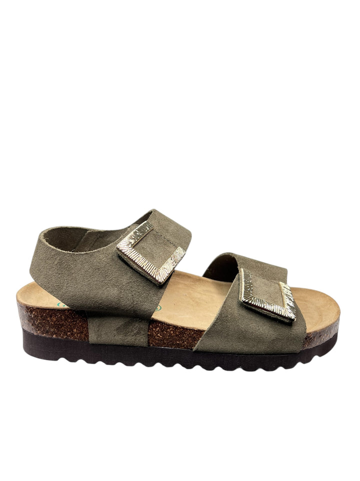 SB1164OLIVA