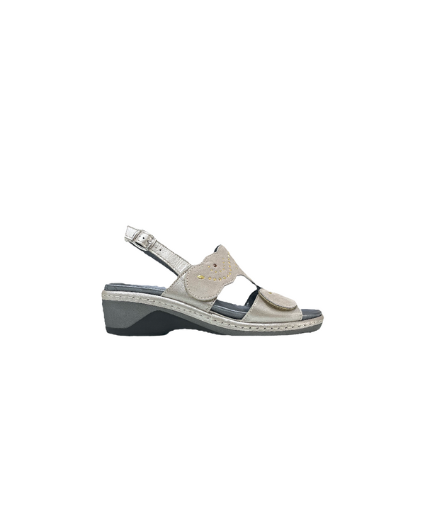 SE0507-68TORTORA